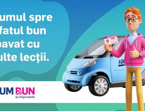 Aventurile lui Șofi în trafic – Episodul 1