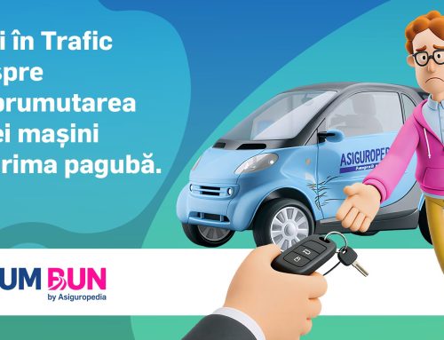 Aventurile lui Șofi în trafic – Episodul 2