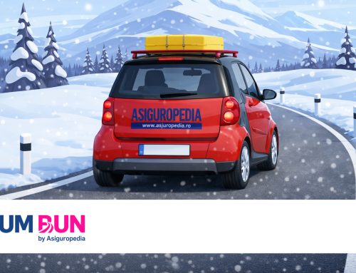 Aventurile lui Șofi în trafic – Episodul 4